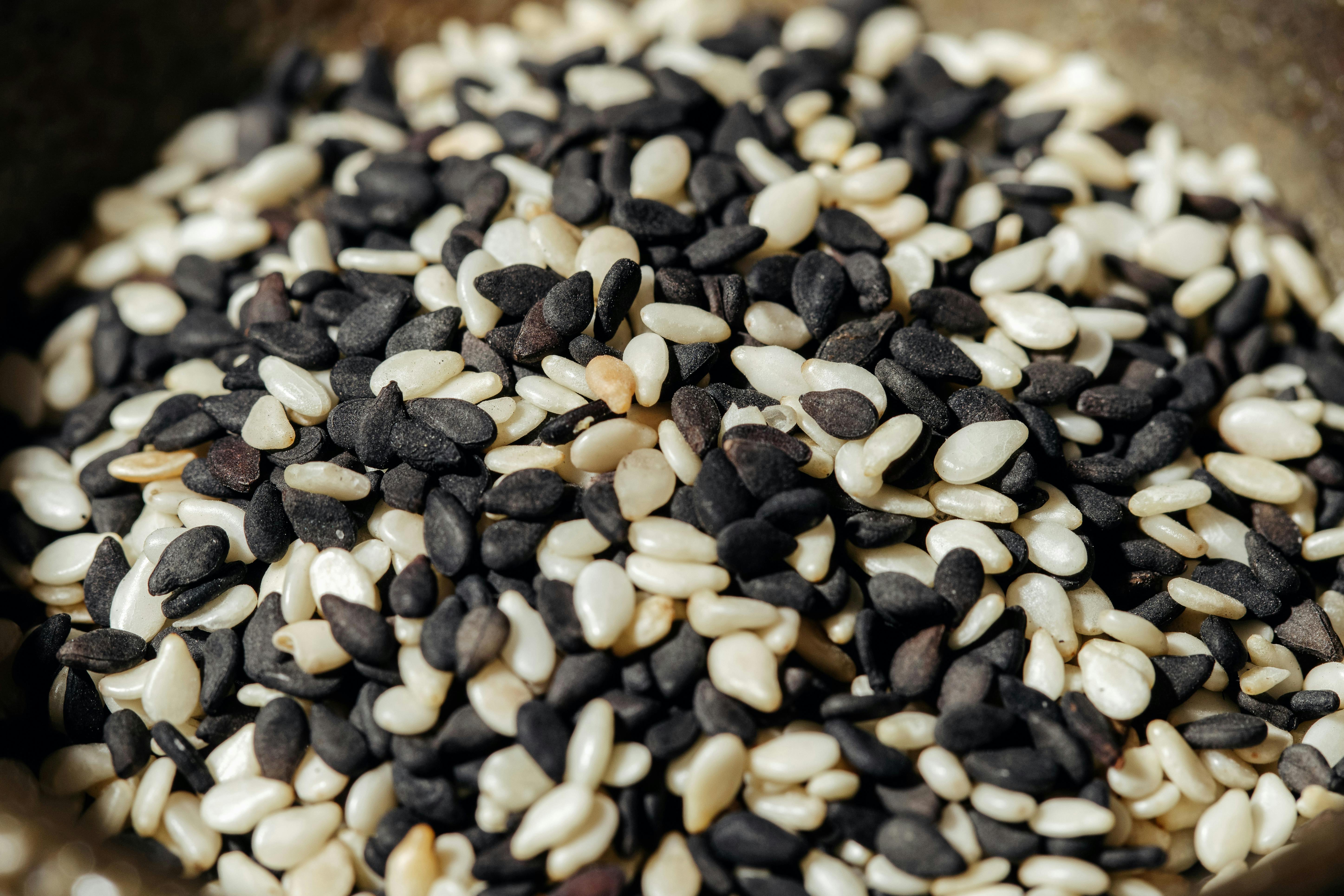 Navigating the New Export Horizons: Key Trends in Oilseed Trade